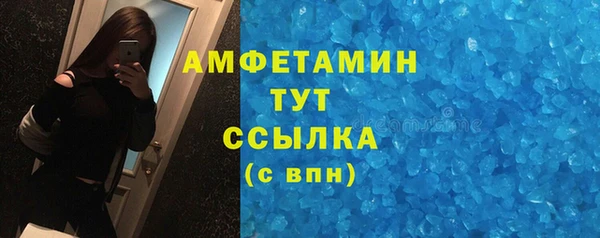 дживик Горняк