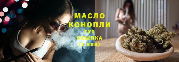 прущие грибы Горно-Алтайск