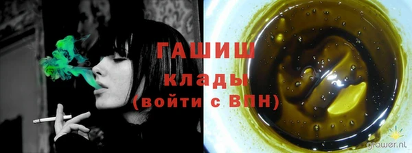 прущие грибы Горно-Алтайск