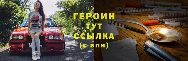 прущие грибы Горно-Алтайск