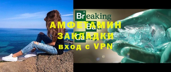 прущие грибы Горно-Алтайск