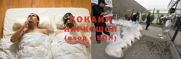 дживик Горняк