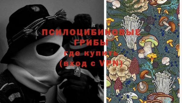 прущие грибы Горно-Алтайск